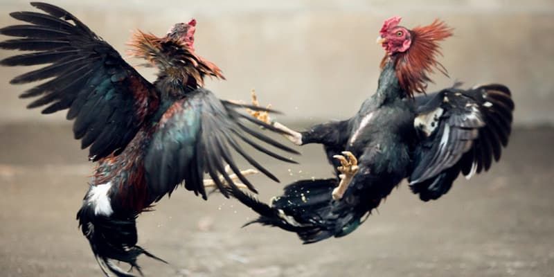 Giá trị mang lại khi sở hữu đường link Giá trị mang lại khi sở hữu đường link