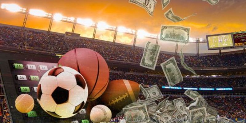 Hệ thống yếu tố quan trọng