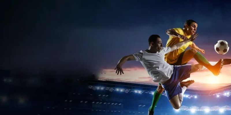 Tổng quan về Soft bettor