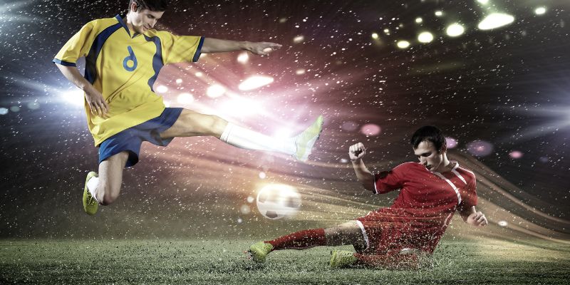 2 case-study nên tham khảo