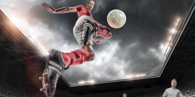 2 case-study tham khảo