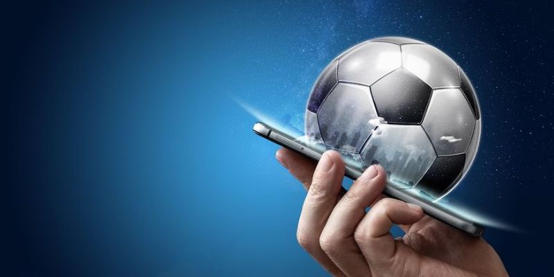 Các trường hợp không áp dụng