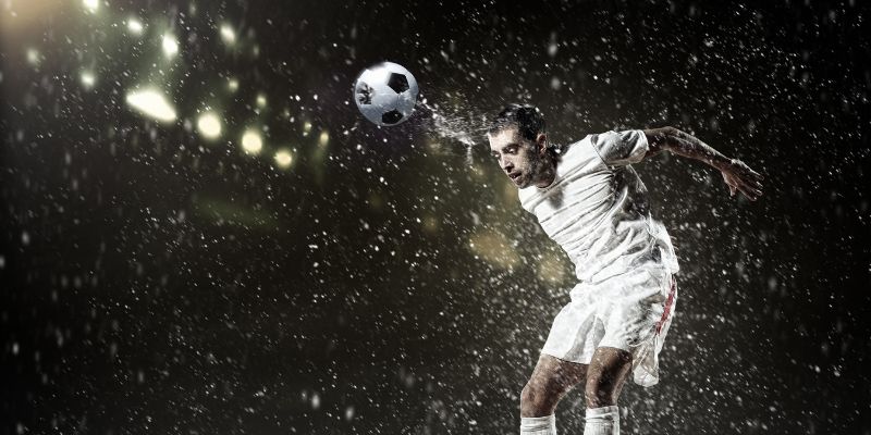 Các yếu tố chính nên biết