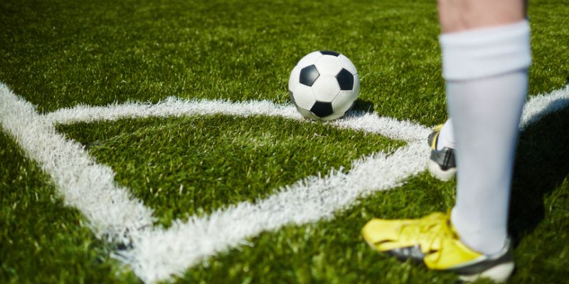 Chiến lược hiệu quả từ chuyên gia