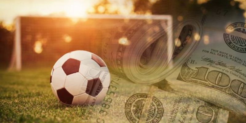 Hệ thống câu hỏi dễ gặp