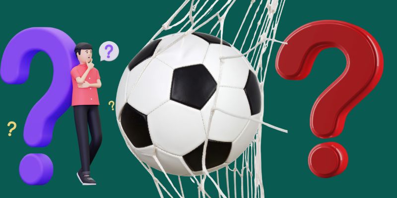 Hệ thống câu hỏi dễ gặp