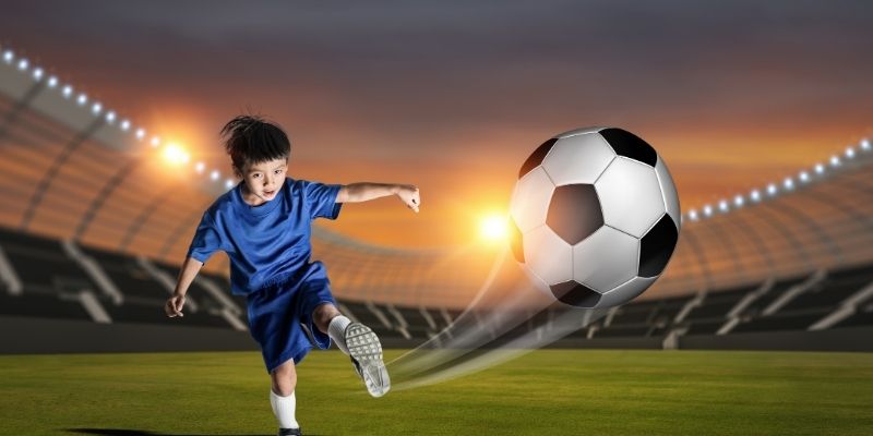 Hệ thống khái niệm liên quan