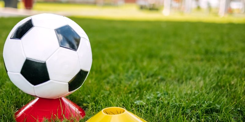 Hướng dẫn phân tích chính xác Hướng dẫn phân tích chính xác