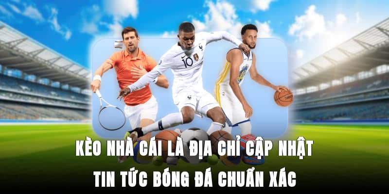 Theo dõi kèo nhà cái của các giải đấu