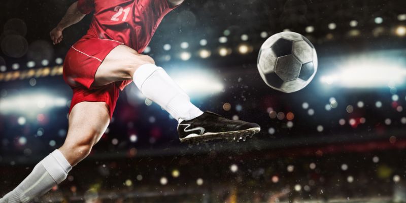 Những yếu tố nên nắm rõ