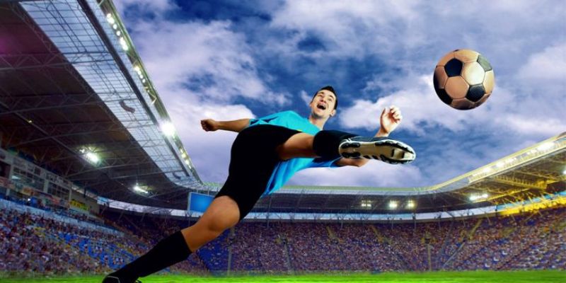 Phân tích case‑study chi tiết