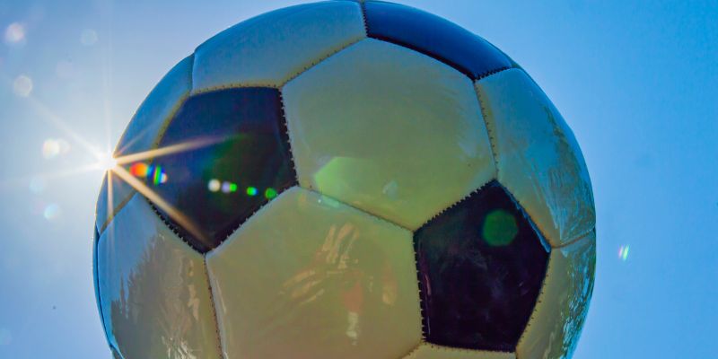 Tổng hợp yếu tố ảnh hưởng Tổng hợp yếu tố ảnh hưởng