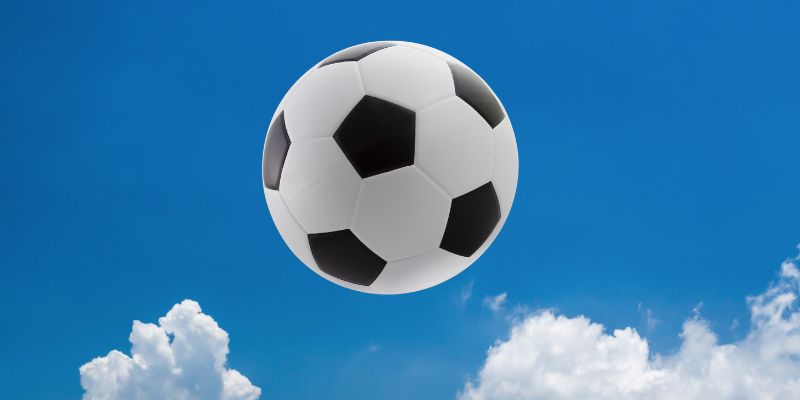 Ví dụ minh hoạ World Cup 2022 Ví dụ minh hoạ World Cup 2022